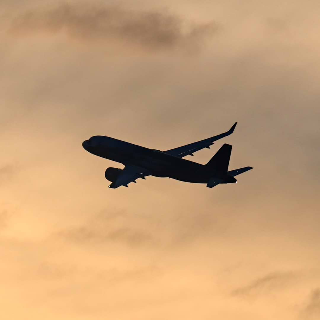 LowiePictures avatar