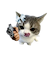 oweStar