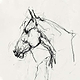 SleekLineSketches