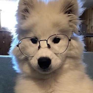 Exotic Visuals avatar