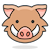 Kamil