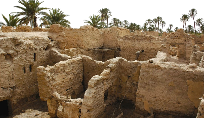 hassen07 fraih avatar