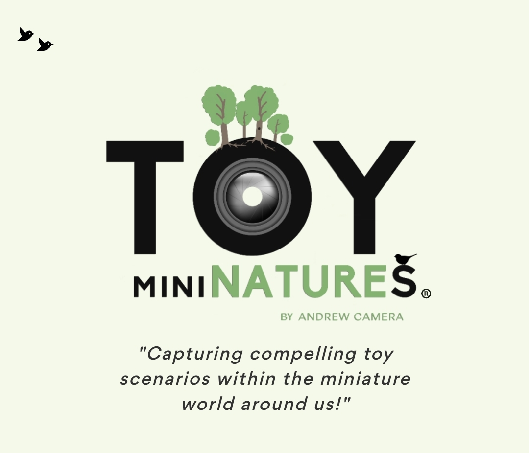 Toy MiniNatures avatar