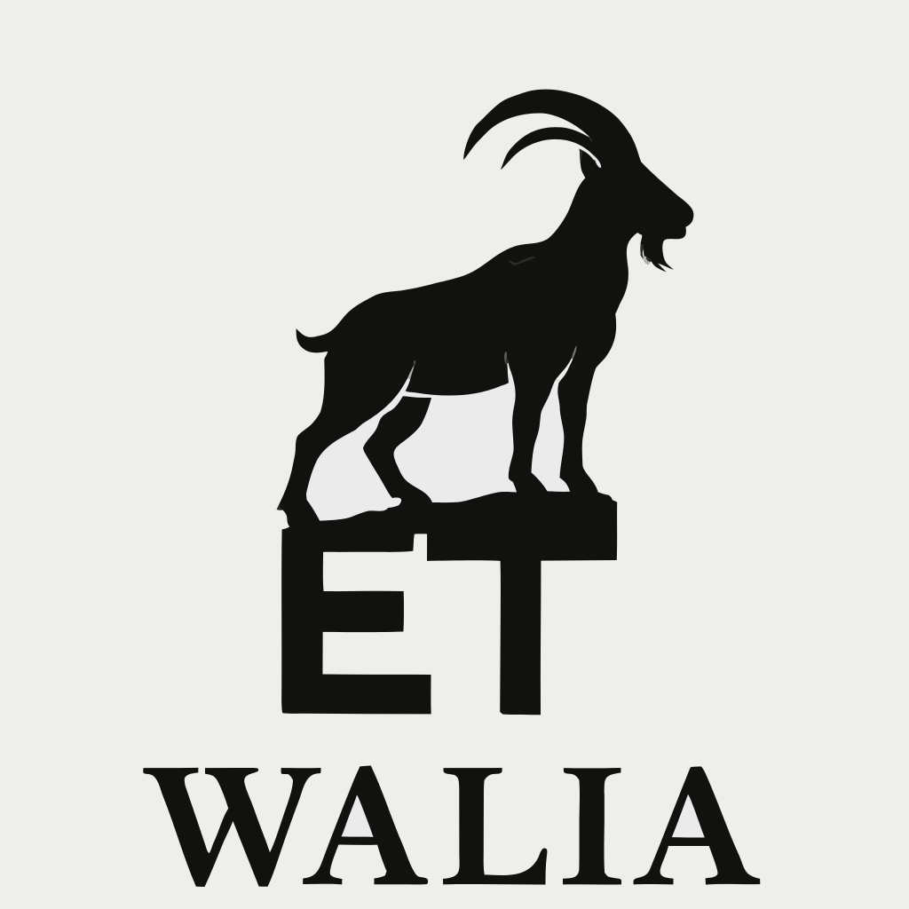 ETWalia Store avatar