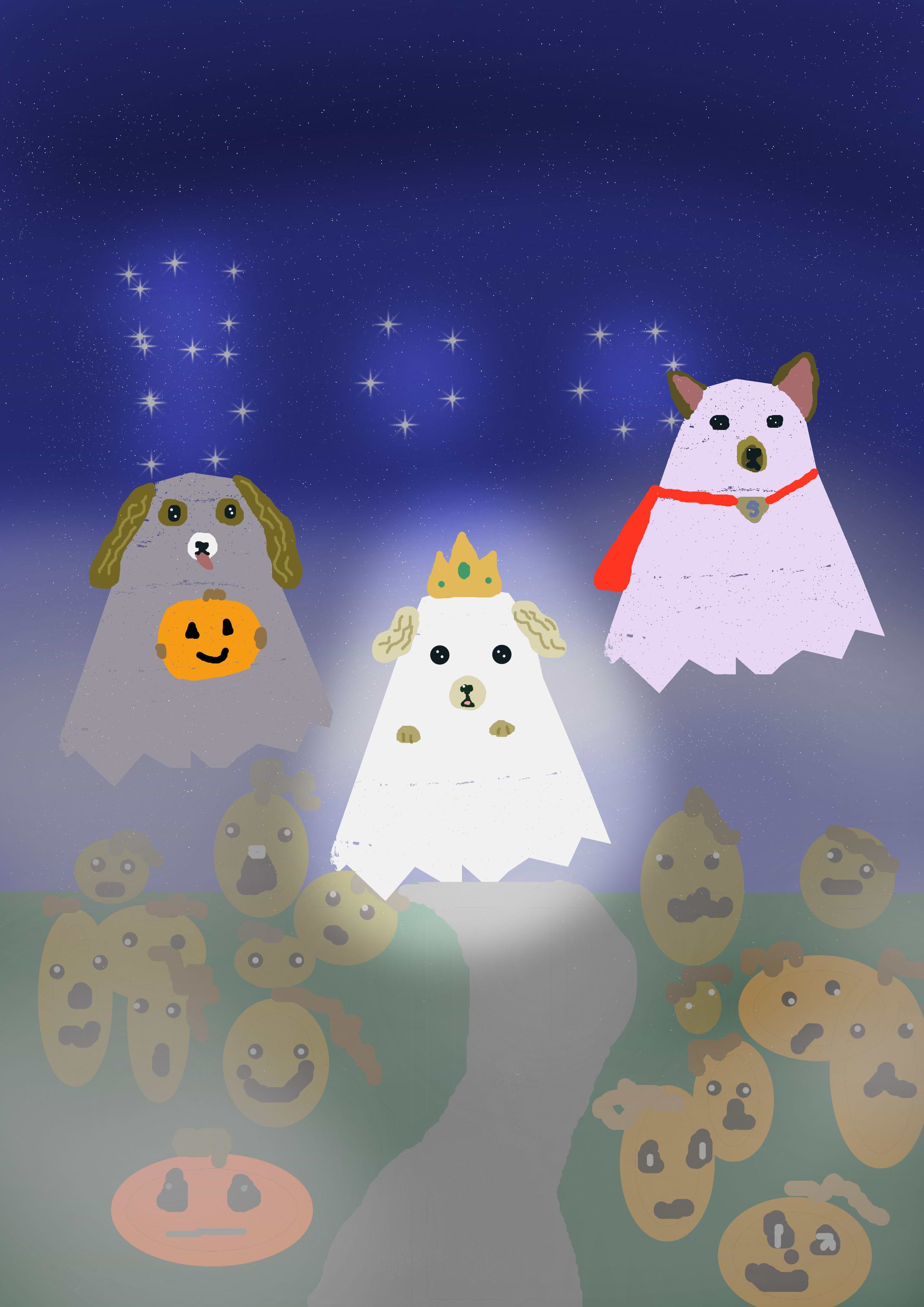 Cathleen Hendriksen avatar