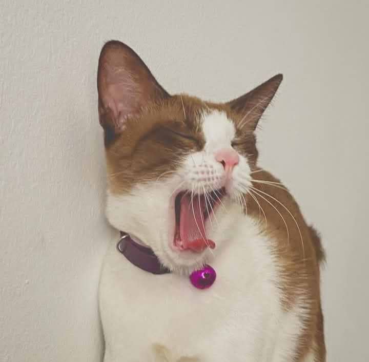 57berkahaabadi avatar