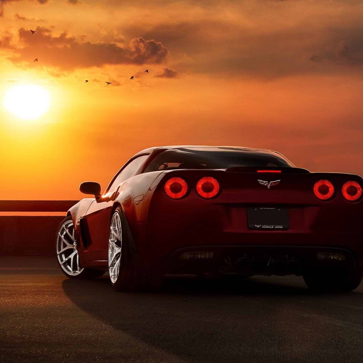 INSP AUTOMOTIVE avatar