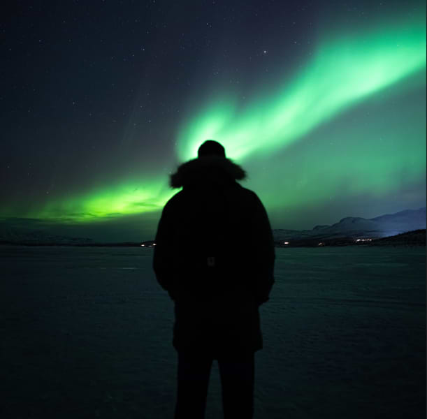 Renatas Traideris avatar