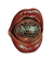 ShampoeArT