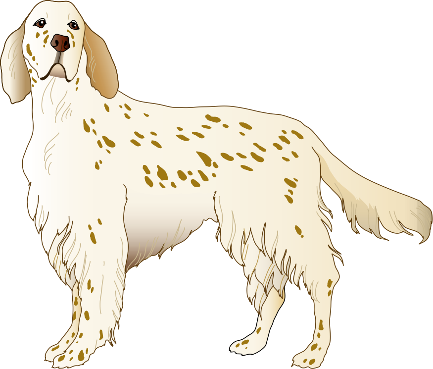 bibiprettyshine avatar