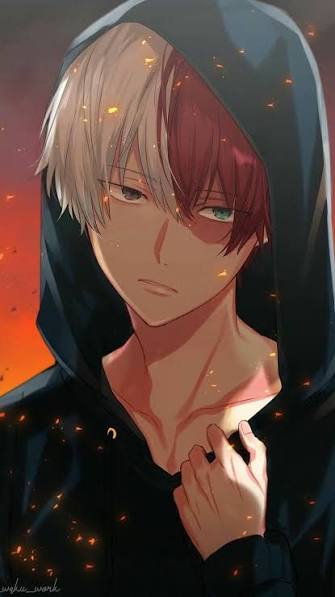 todoroki shoto