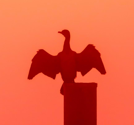 felixfranklphotography Frankl avatar