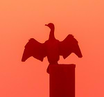 felixfranklphotography Frankl