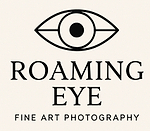 RoamingEye