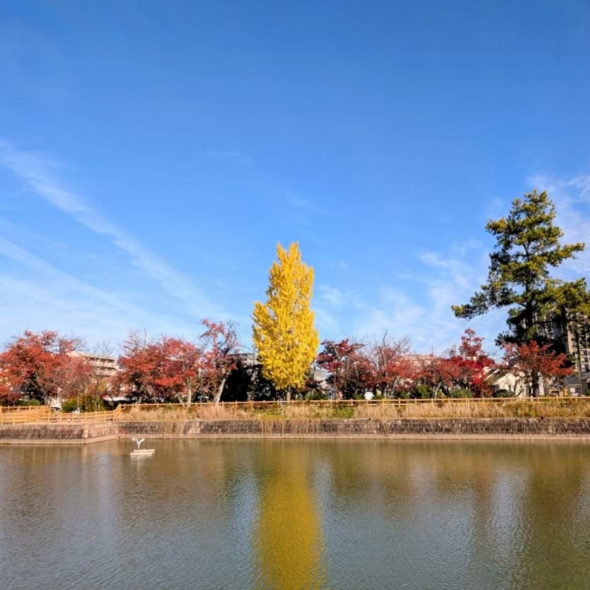 japanphotography avatar