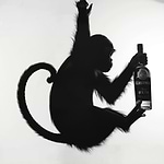 TipsyMonkey
