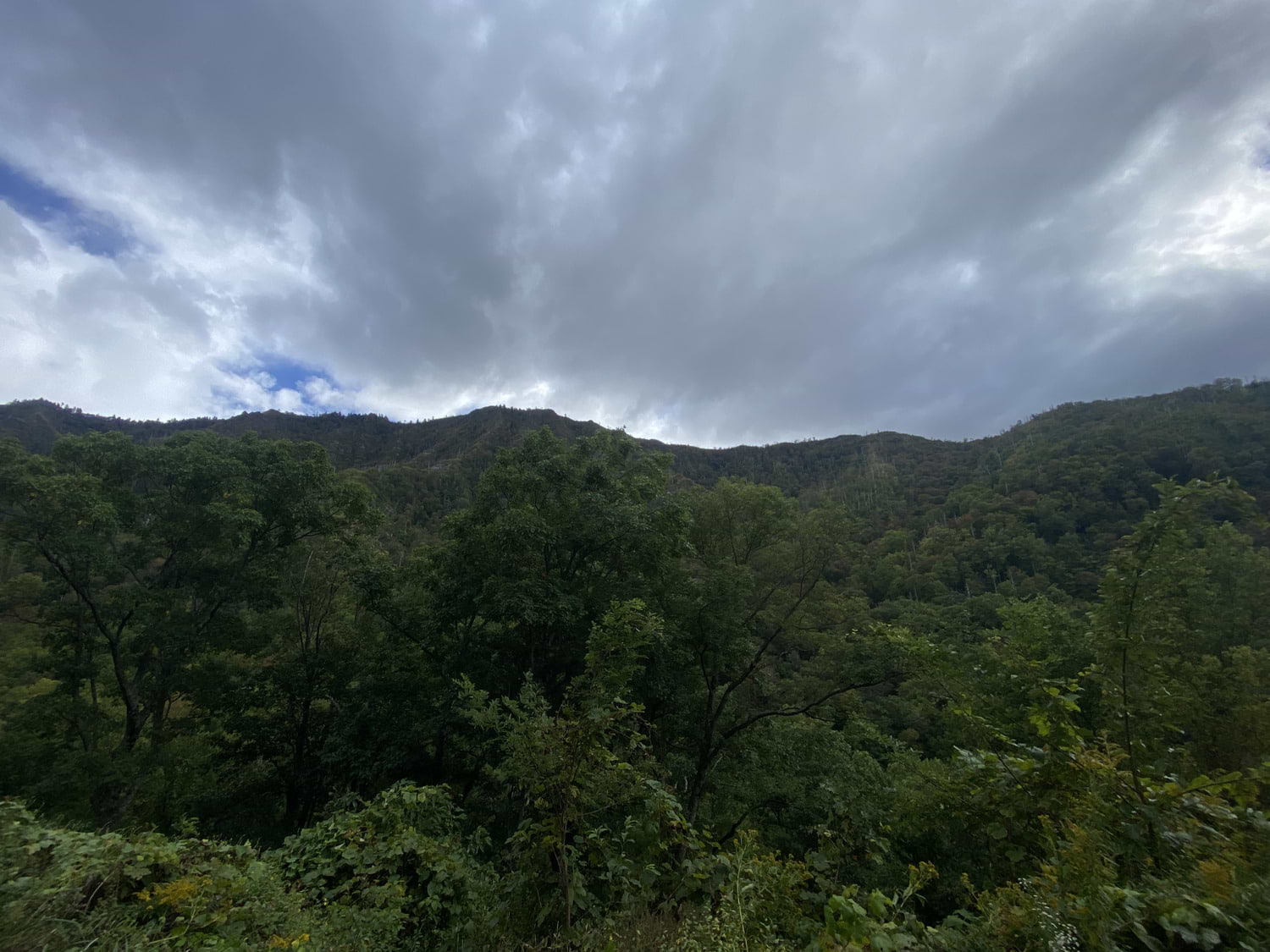 Blake Kincaid avatar