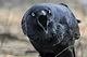 Burd