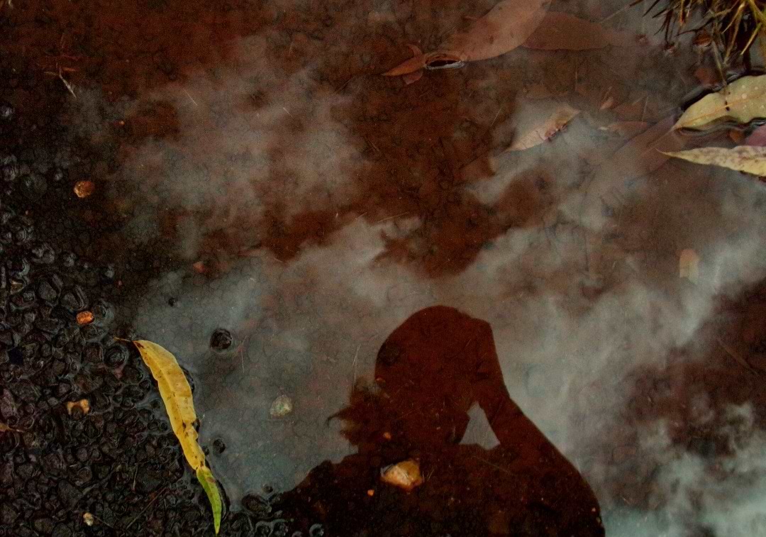 LookingThroughTheLens Maartens avatar