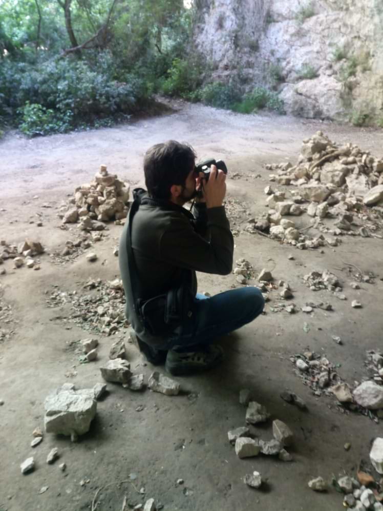 Landscape Stories avatar