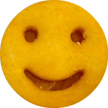 Skulls Of Insanity avatar