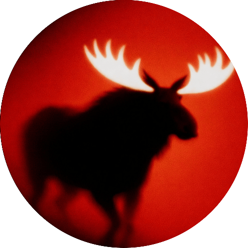 moose avatar