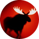 moose