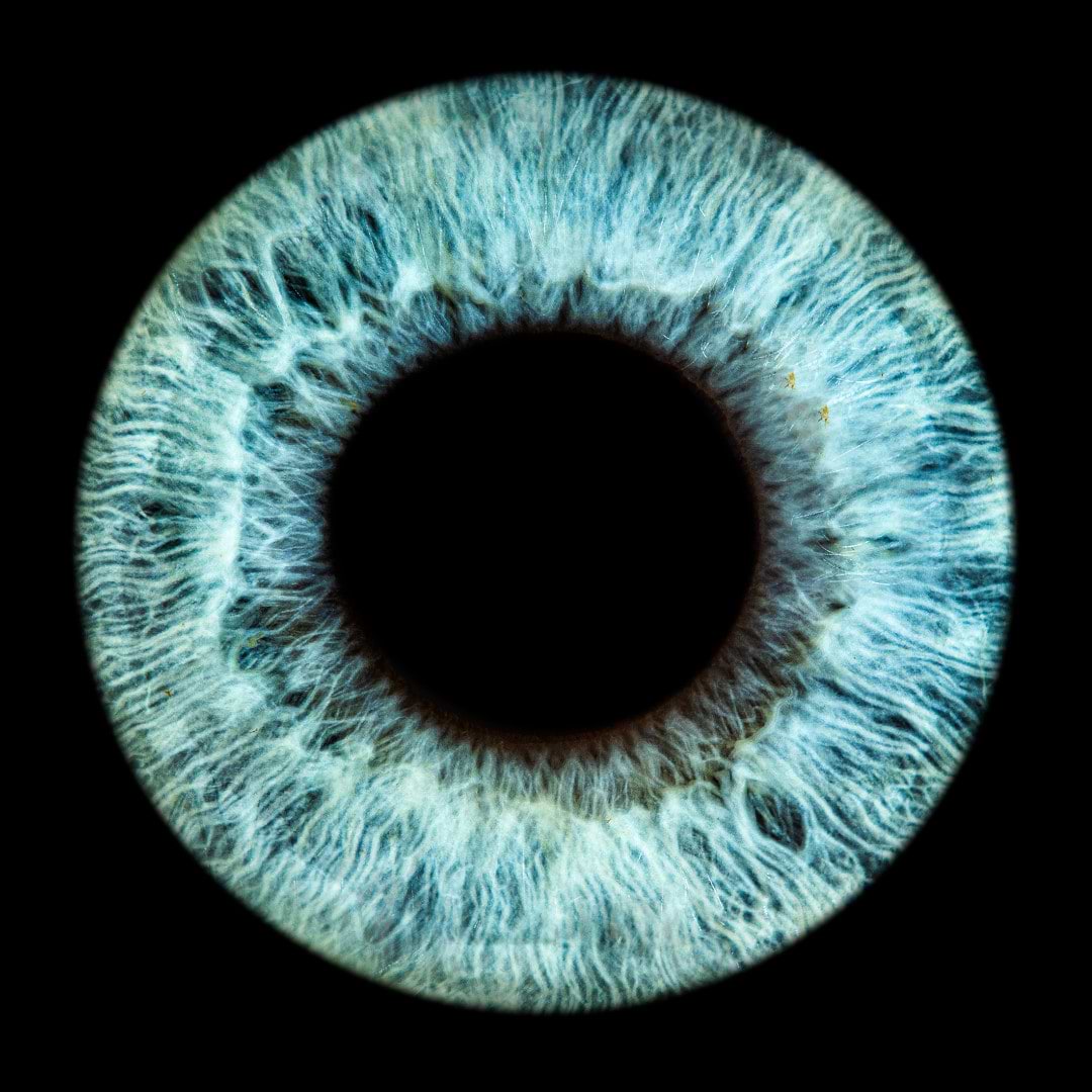 Oliver Herlemann avatar