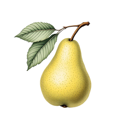 Poiteau Botaniste Vintage Botanical Gallery avatar