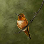 L_Anderson_Creations