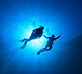 Dive In