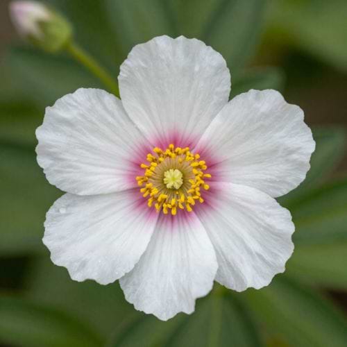 Creativity Shop avatar