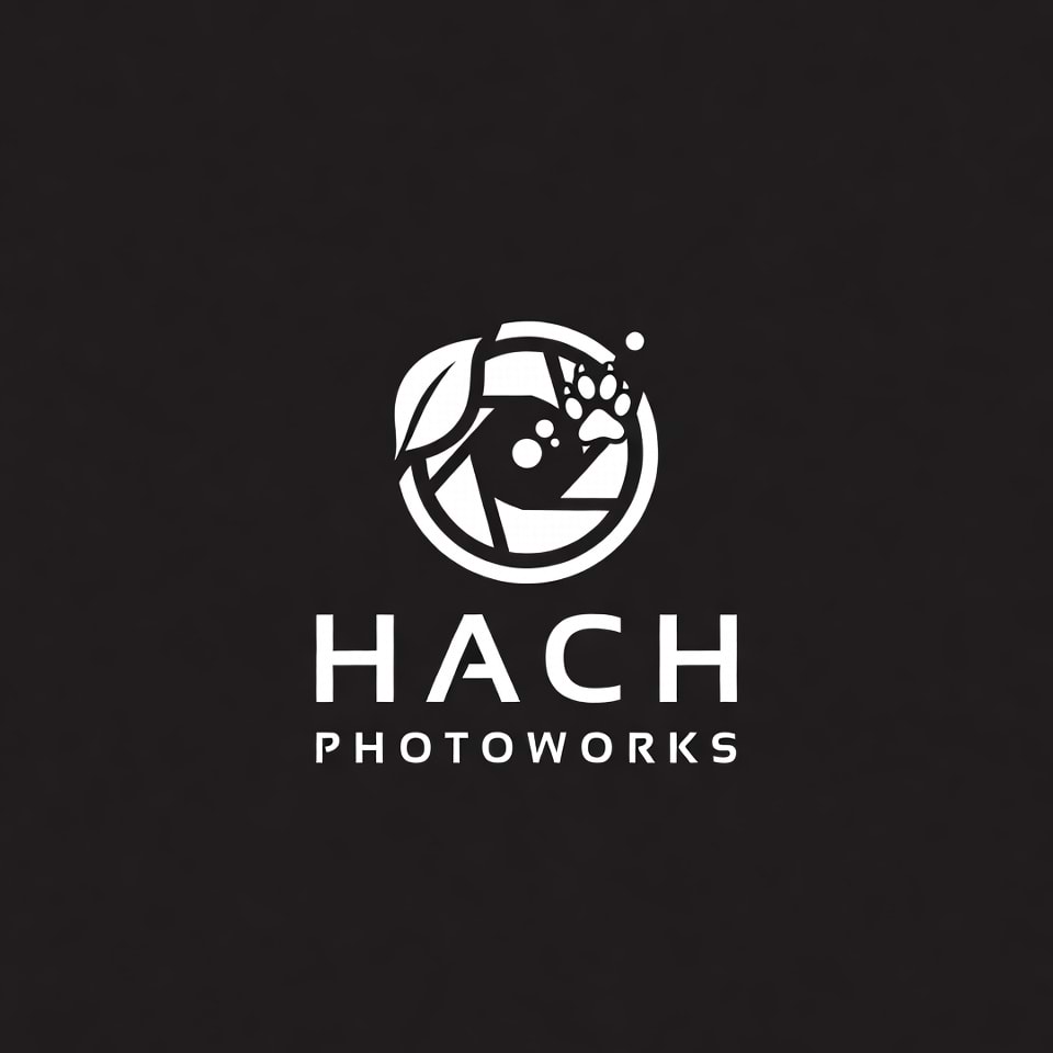 HACH PHOTOWORKS avatar
