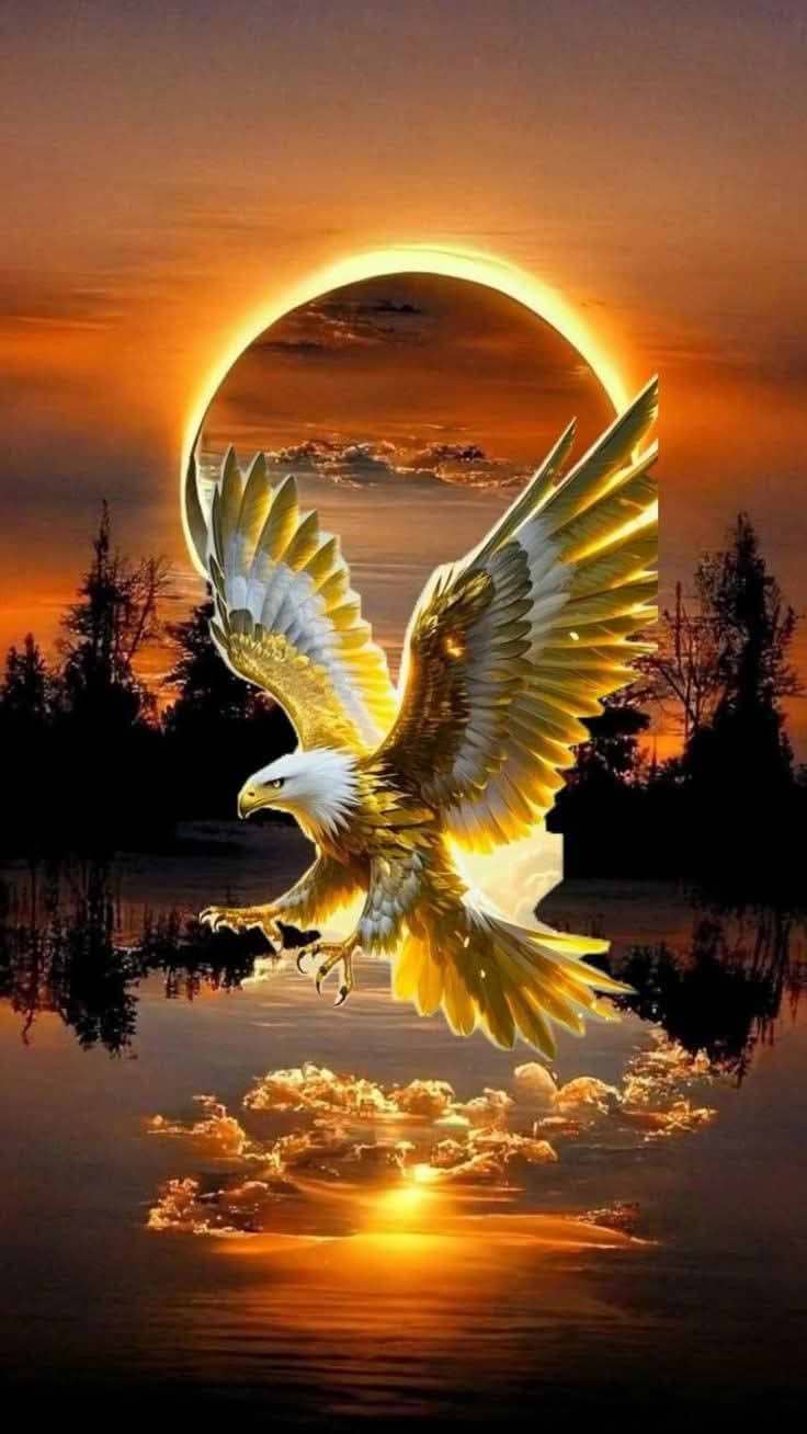 M Gofar Suwartono avatar