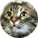 Mimi