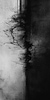 peopleabstrck