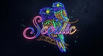 ScouticNeon