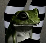 Creaqo