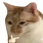 UnseriousSteve