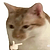 UnseriousSteve