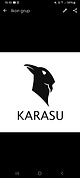 Karasuproject