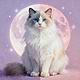 NekoshiLab