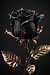Darkrose