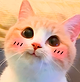 Normi21