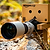 Pixtolero