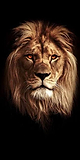 Raja_77