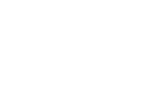 Wolfenstein Logo