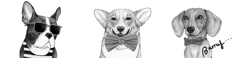 artist cover