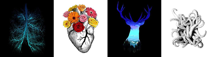 artist cover