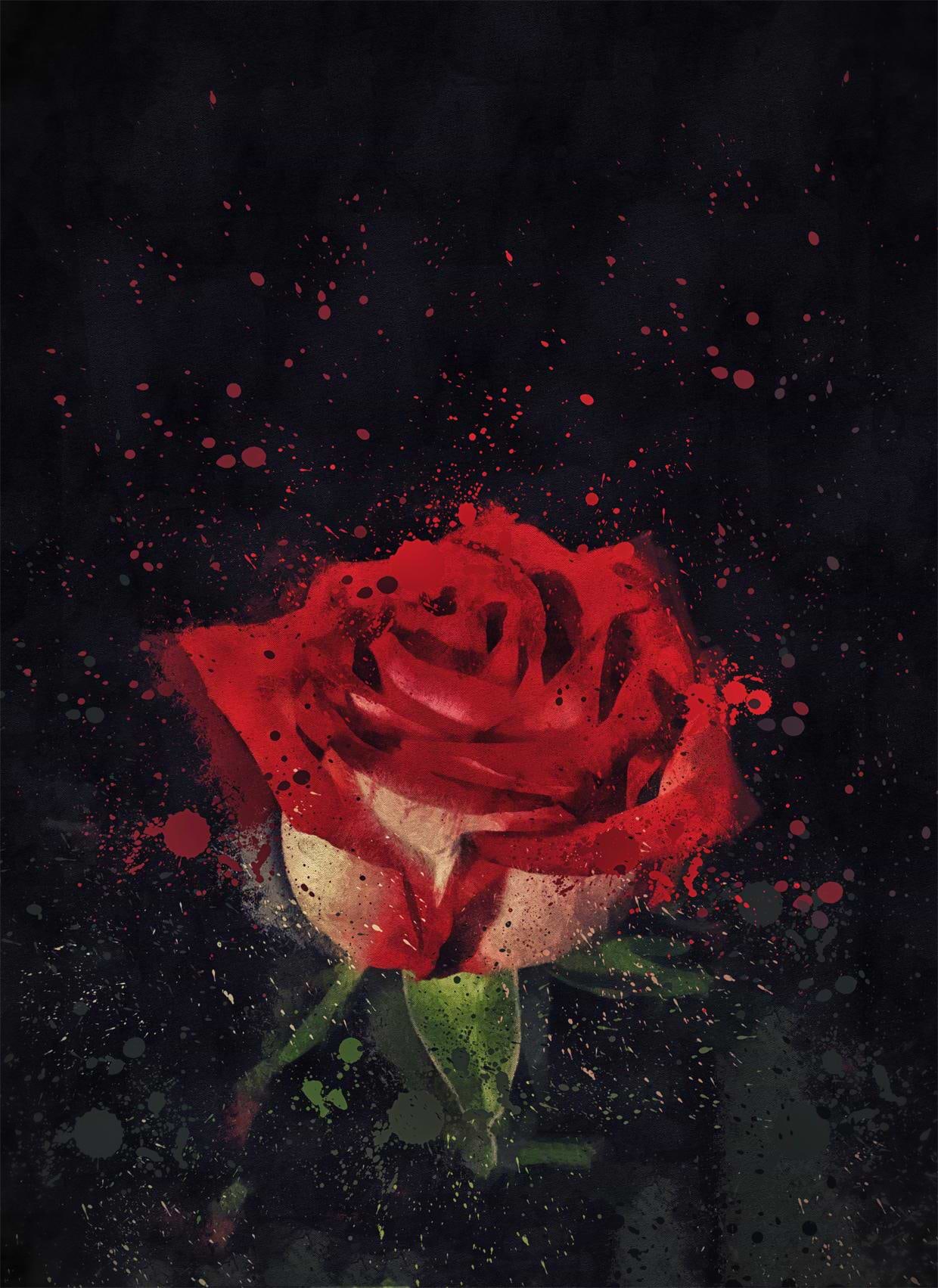 artist cover